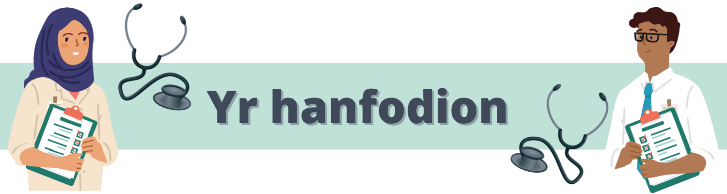 Yr hanfodion