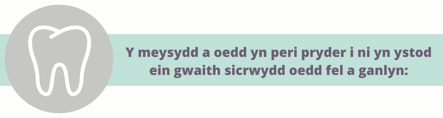 Y meysydd a oedd yn peri pryder i ni yn ystod ein gwaith sicrwydd oedd fel a ganlyn: