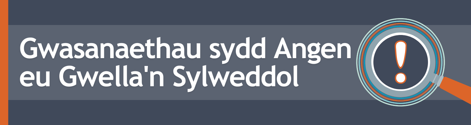 gwasanaethau sydd angen eu gwella/n sylweddol
