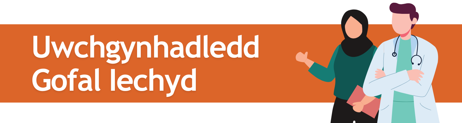 uwchgynhadledd gofal iechyd