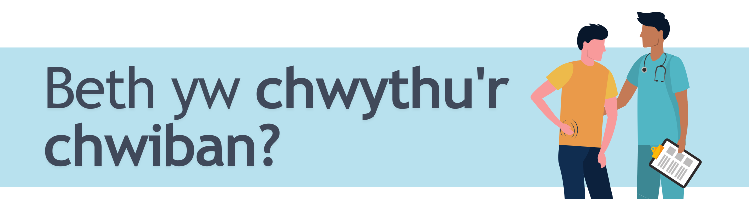 Beth yw chwythu'r chwiban?