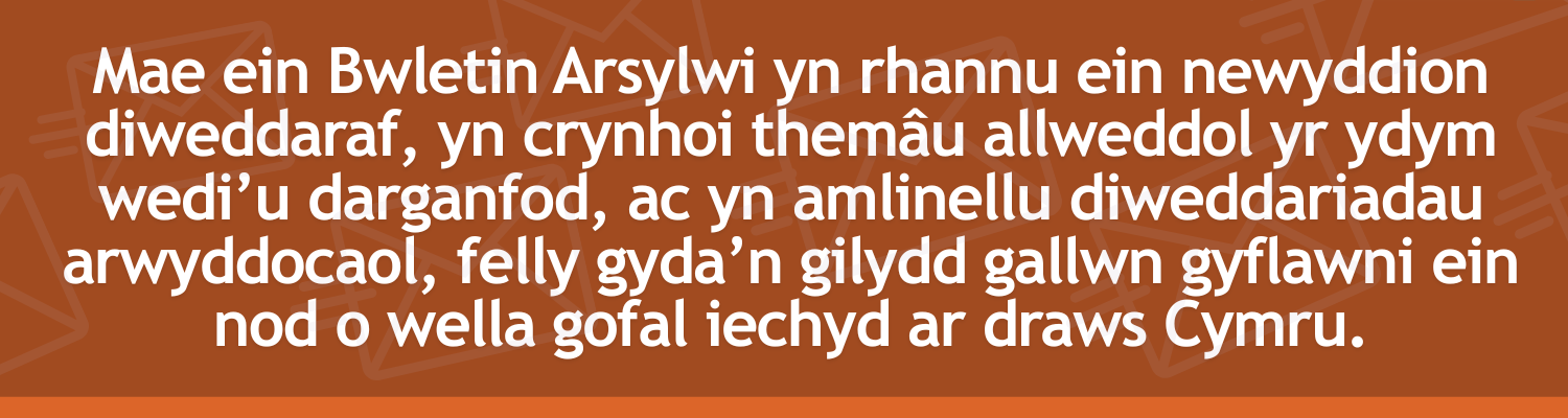 Mae ein Bwletin Arsylwi yn rhannu ein newyddion diweddaraf, yn crynhoi themâu allweddol yr ydym wedi’u darganfod, ac yn amlinellu diweddariadau arwyddocaol, felly gyda’n gilydd gallwn gyflawni ein nod o wella gofal iechyd ar draws Cymru.