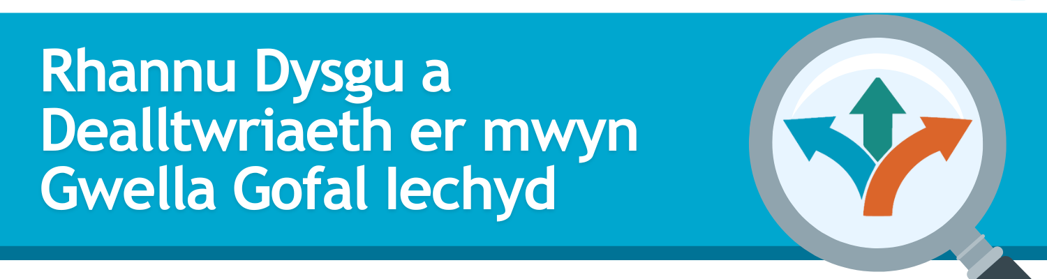 Rhannu Dysgu a Dealltwriaeth er mwyn Gwella Gofal Iechyd