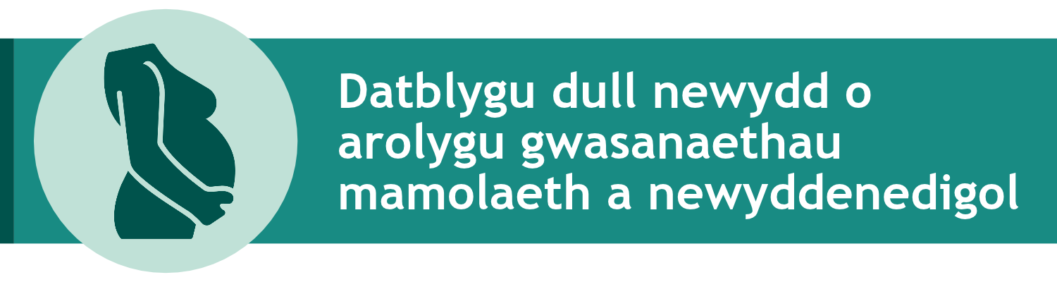 Datblygu dull newydd o arolygu gwasanaethau mamolaeth a newyddenedigol