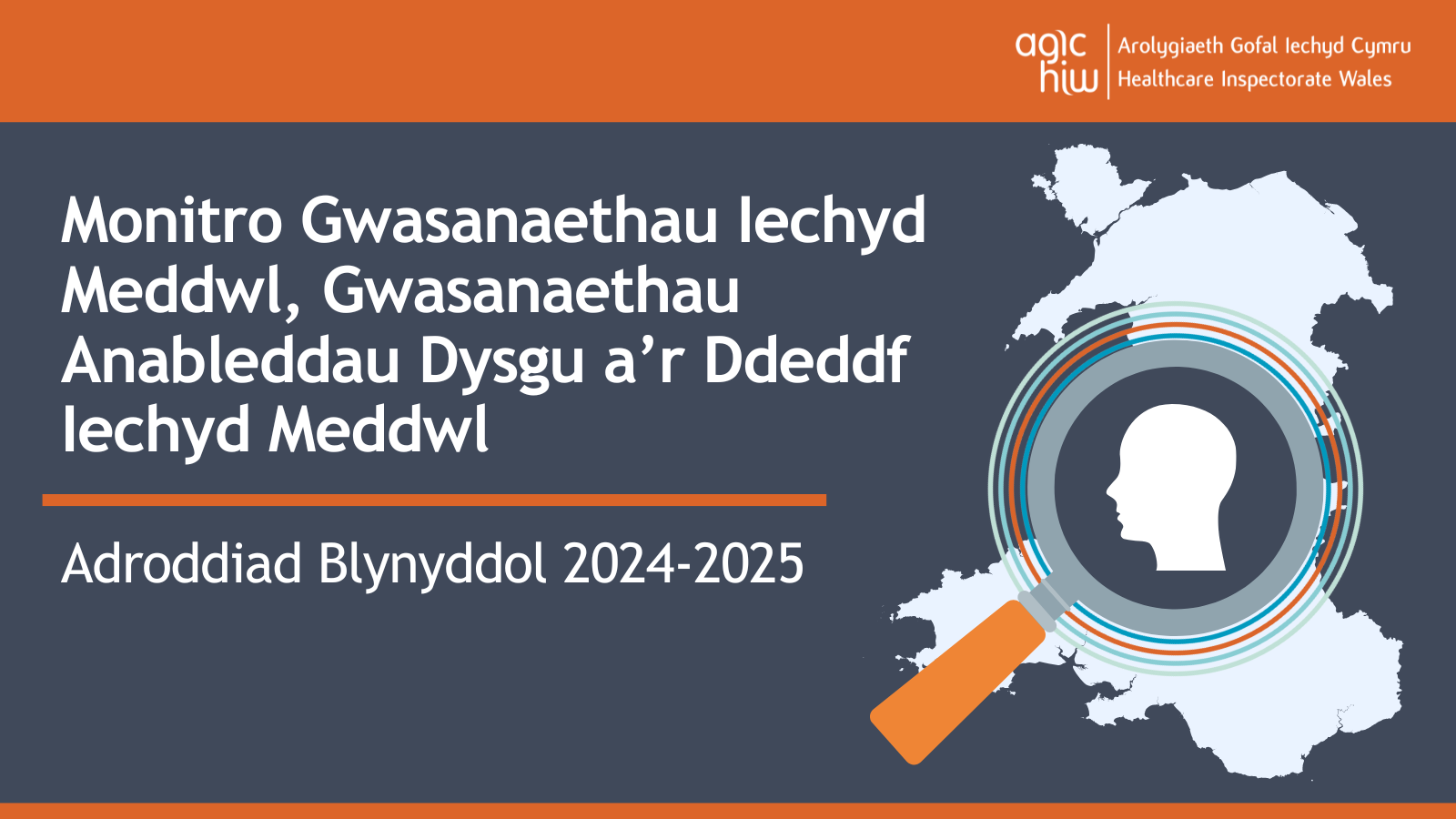 Monitro Gwasanaethau Iechyd Meddwl, Gwasanaethau Anableddau Dysgu a’r Ddeddf Iechyd Meddwl Adroddiad Blynyddol 2024-2025