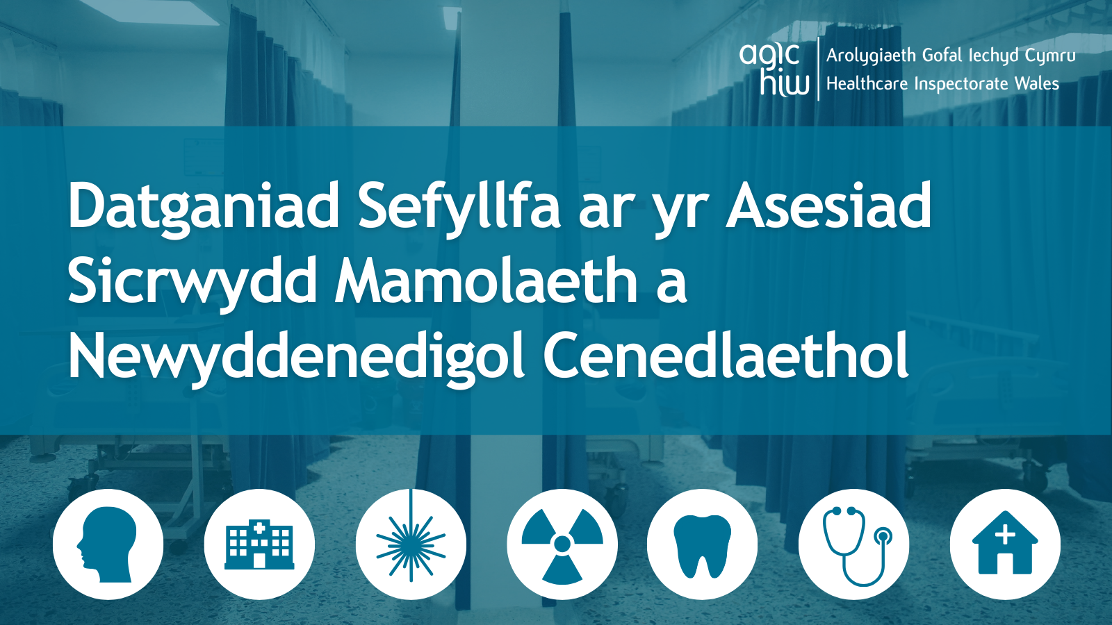 Datganiad Sefyllfa ar yr Asesiad Sicrwydd Mamolaeth a Newyddenedigol Cenedlaethol