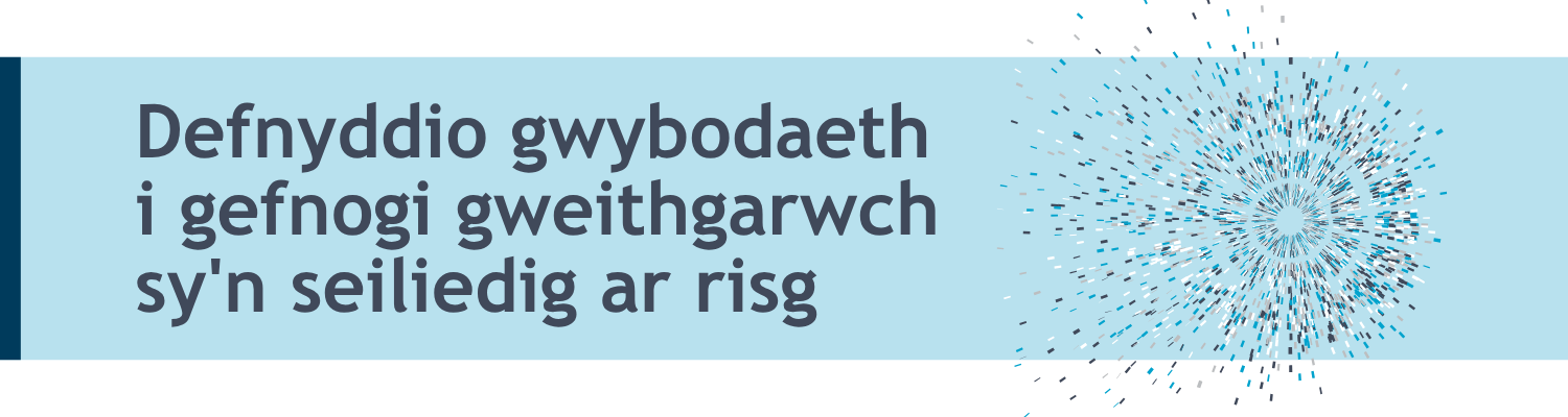 Baner teitl ar gyfer y dudalen.