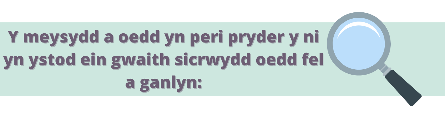 Y meysydd a oedd yn peri pryder y ni yn ystod ein gwaith sicrwydd oedd fel a ganlyn: