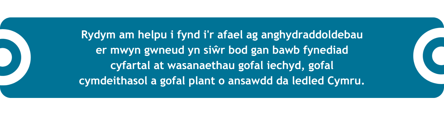 Rydym am helpu i fynd i'r afael ag anghydraddoldebau er mwyn gwneud yn siwr bod gan bawb fynediad cyfartal at wasanaethau gofal iechyd, gofal cymdeithasol a gofal plant o asnawdd da ledled Cymru.