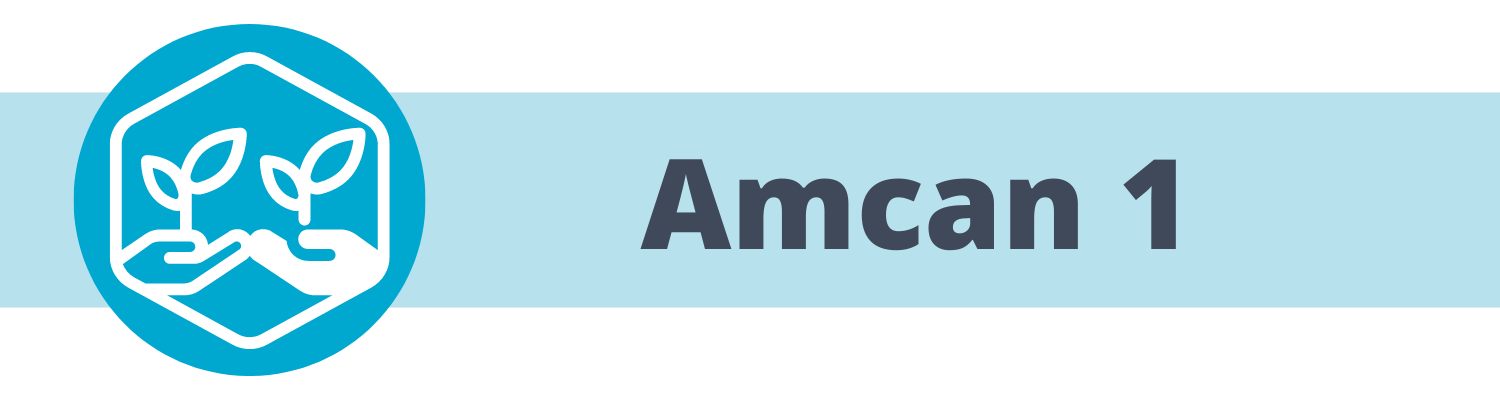 Amcan 1