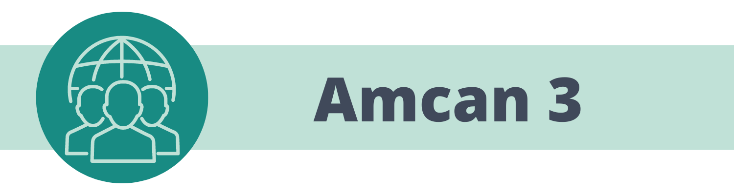 Amcan 3