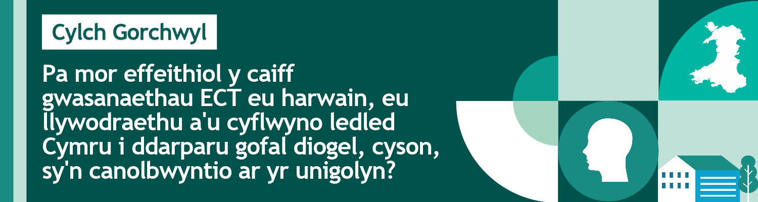 Pa mor effeithiol y caiff gwasanaethau ECT eu harwain, eu llywodraethu a'u cyflwyno ledled Cymru i ddarparu gofal diogel, cyson, sy'n canolbwyntio ar yr unigolyn?Pa mor effeithiol y caiff gwasanaethau ECT eu harwain, eu llywodraethu a'u cyflwyno ledled Cymru i ddarparu gofal diogel, cyson, sy'n canolbwyntio ar yr unigolyn?